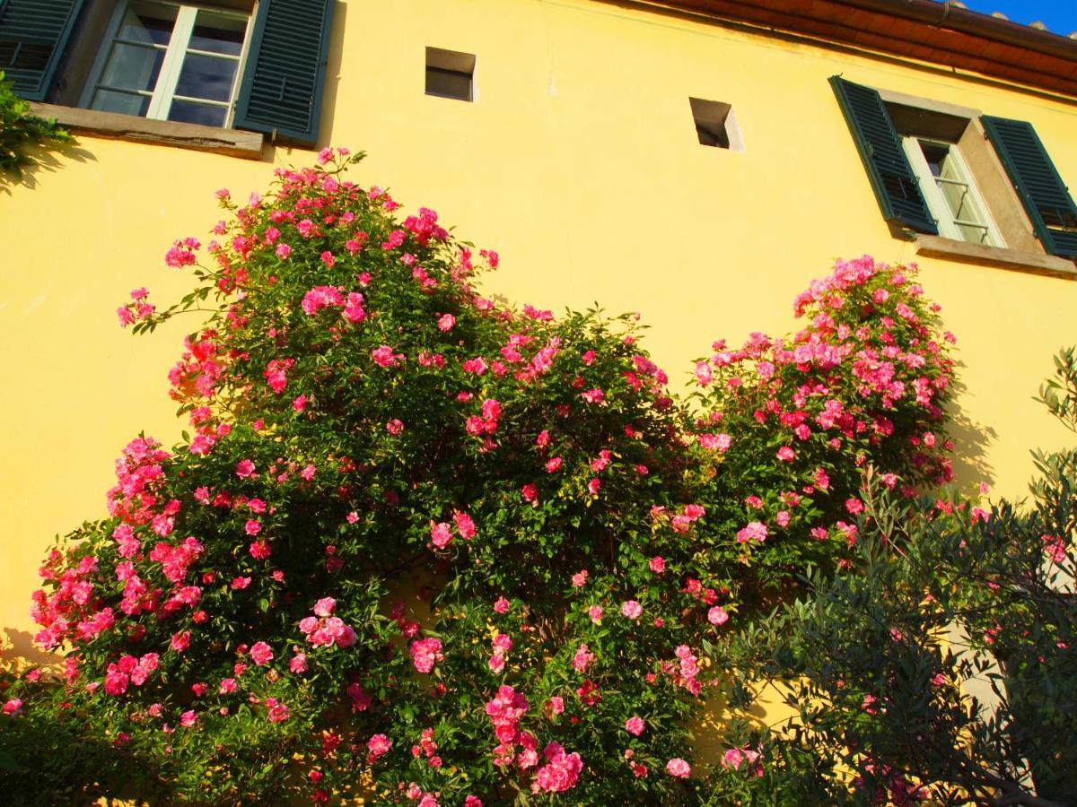 Il Sole Del Sodo Cortona Exterior foto