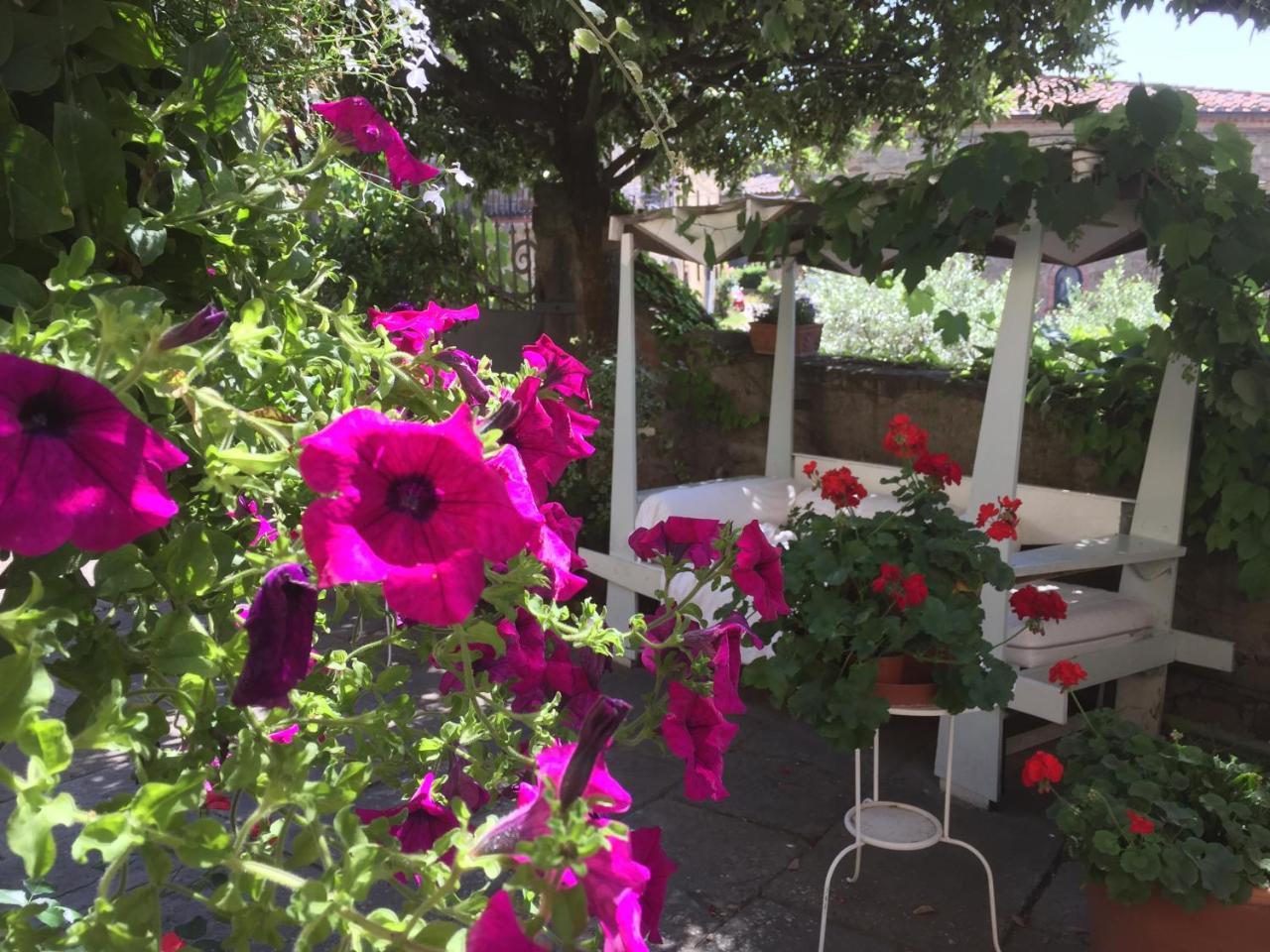 Il Sole Del Sodo Cortona Exterior foto